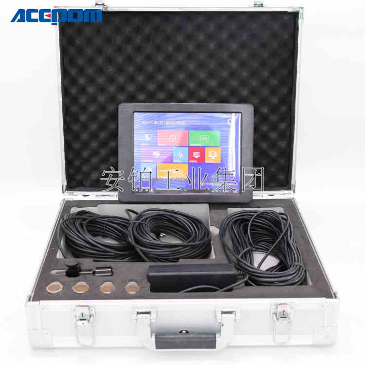 安铂ACEPOM320/30现场动平衡转动设备振动分析交流感应电机诊断