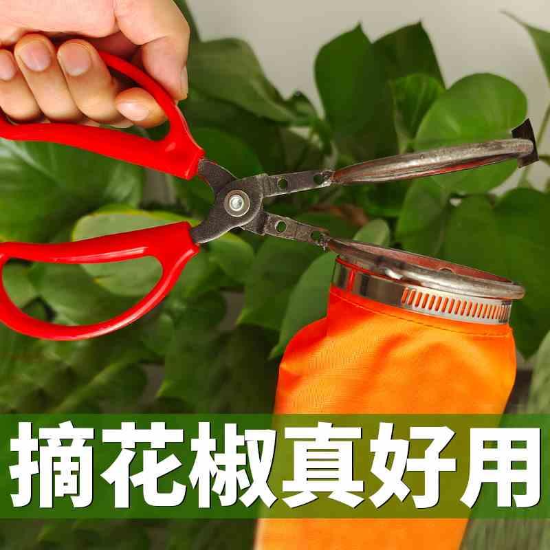 摘花椒神器网兜布兜剪切修枝剪刀防扎手枸杞麻椒专用采摘工具