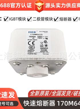170M6419170M6420快速熔断器保险丝电子元器件量大价优