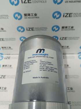 MACNAUGHT泵R500T-01原装