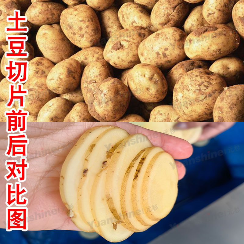 现货果蔬脆片加工设备 火龙果猕猴桃切圆片设备 商用红薯切片机