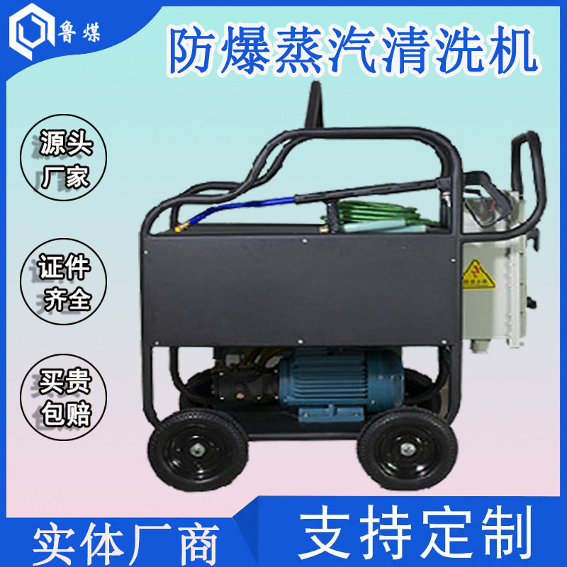 节水蒸汽清洗机 D500-12型 化工消毒清洗 防爆蒸汽清洗机