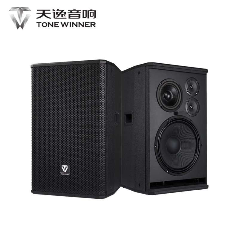 Winner/天逸 PA-120N音箱12寸专业KTV会议舞台全频无源大功率音箱
