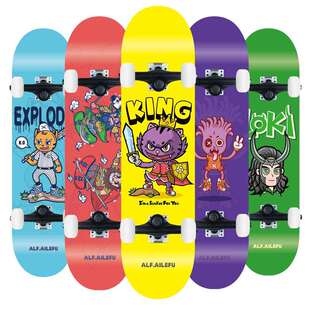 滑板儿童男女生专业板双翘板刷街动作轮滑板现货