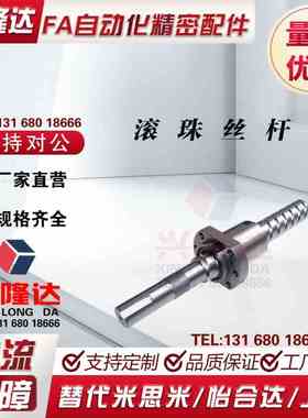 SFV0 SFS0 SCNH0 BSHR0 1205 1605 1610 2005 2505滚珠丝杆螺杆