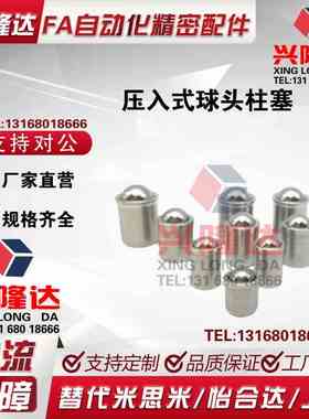 压入式球头柱塞 PFSSN2/3/4/5/6/8/10/12 精密定位珠