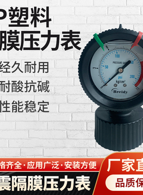 PP隔膜压力表 LUDl耐酸碱 防腐1.0MPA厂家直销