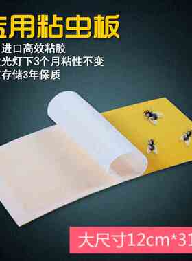 纸粘31cmx12c蝇蝇诱粘圆形苍蝇粘粘纸式板餐厅粘贴捕灯专用灭蚊