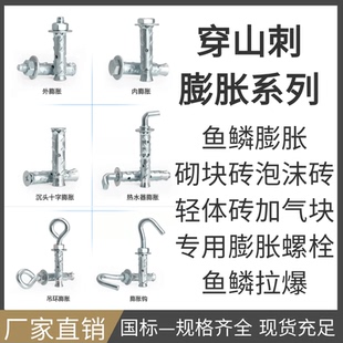 穿山刺膨胀螺丝砌块砖泡沫砖轻体砖气块专用内置蓬胀螺丝鱼鳞拉爆