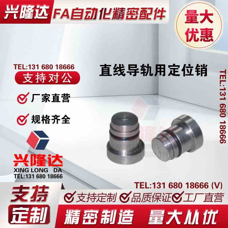 直线导轨用定位销 LLT3.5 LLT5 LLTS5偏心销ICE11-T5不锈钢轴效直