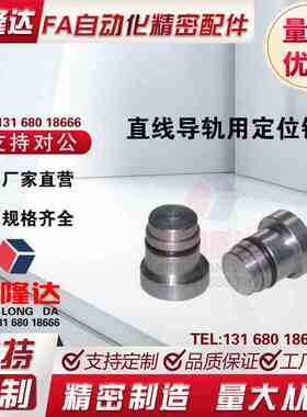 直线导轨用定位销 LLT3.5 LLT5 LLTS5偏心销ICE11-T5不锈钢轴效直