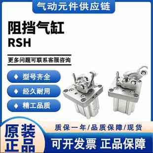 重载型止动气缸 RSH30 20DL SMC RSH20