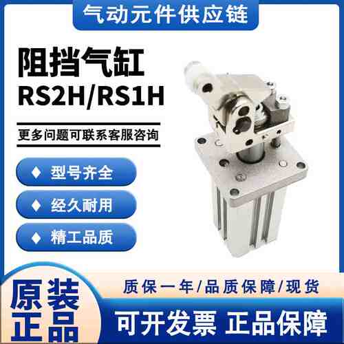 SMC RS2H50/RS1H50-30DL/DM/BL/BM/TL/TM-D阻挡气缸