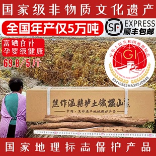 垆小山官方正宗非物质文化遗产怀山药 河南焦作温县垆土铁棍山药