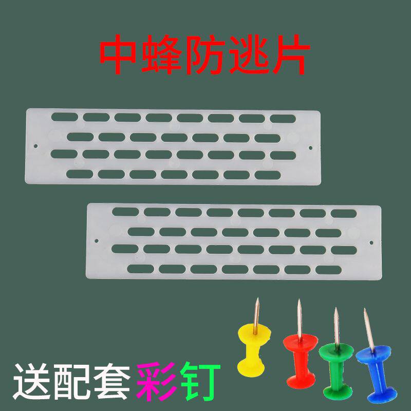 防逃片中蜂防跑王片蜜蜂工具蜂具 蜂箱 蜂王防跑片隔王片塑料包邮
