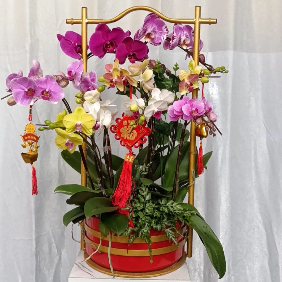 新中式金属红色铁艺客厅花盆冬青蝴蝶兰银柳年宵花插花花器花篮