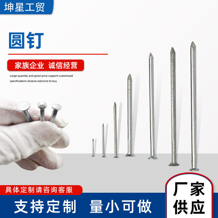 厂家加工批发不锈钢圆钉 木工钉 小铁钉子 散装水泥钉圆头钉子