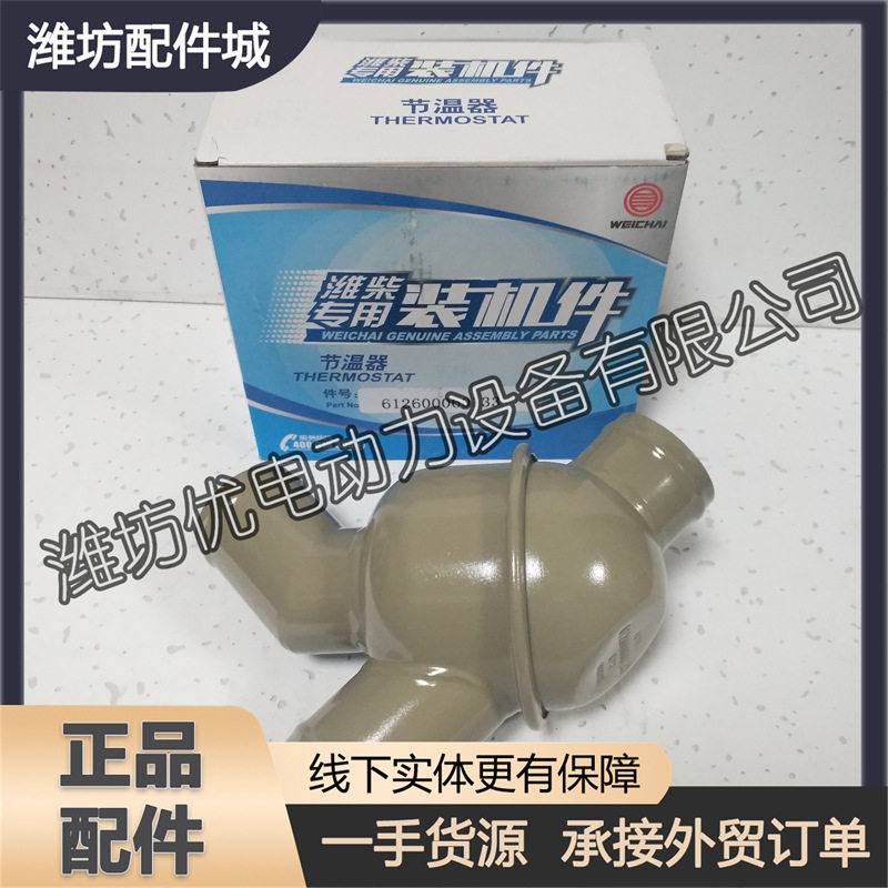 潍柴斯太尔发动机WD615柴油机57度612600060133外置节温器原厂