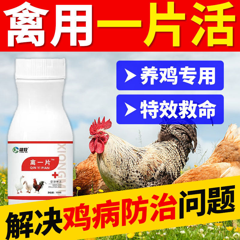 雄牧禽一片养小鸡鸭鹅专用药大全鸡病防治家禽用感特冒效救命正品