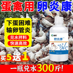 雄牧卵炎康正品家禽鸡鸭鹅鸽子产蛋药催蛋专用不受精输卵管卵巢炎