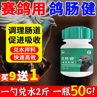 雄牧鸽肠健正品赛鸽专用品大全调理肠道水绿稀便精神萎靡厌食不吃