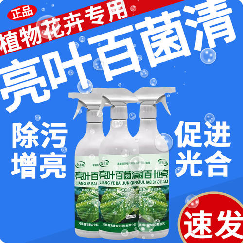 室内盆栽养绿植物花卉去除污亮叶百菌立清杀菌剂发财树营养液肥料
