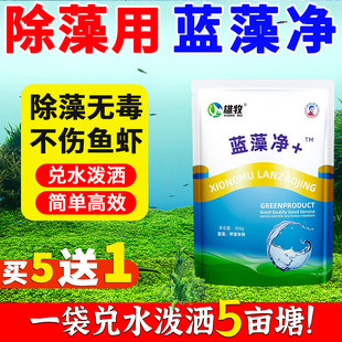 雄牧蓝藻净速灭分解酶鱼池塘除甲绿藻青苔净化水产养殖专用改良剂