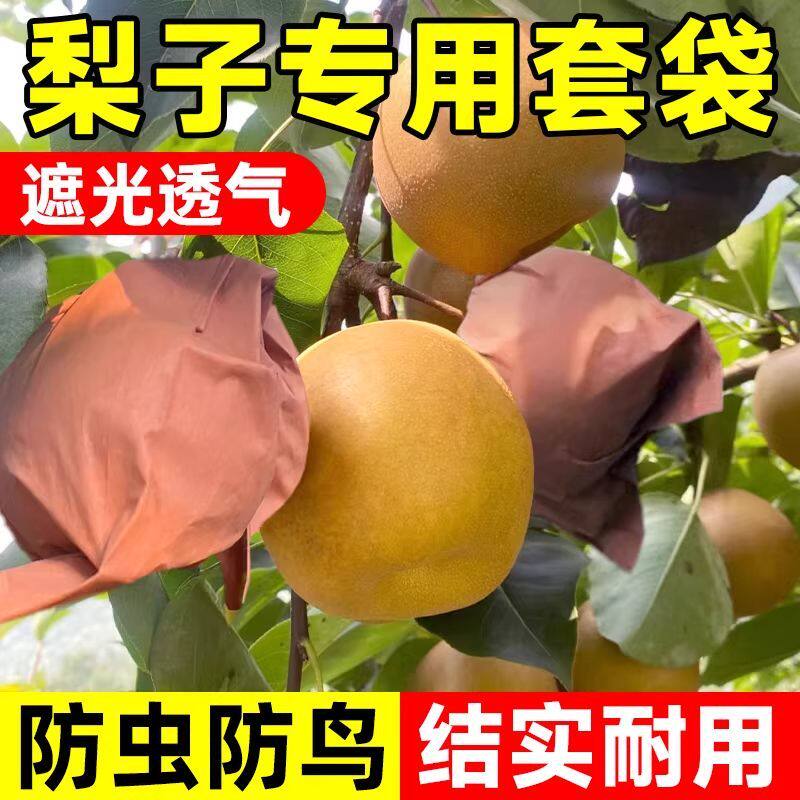 果树专用套袋梨子芒果橘子桃子防晒防水防鸟防虫保护袋
