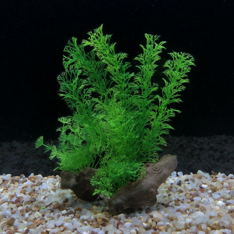 鱼缸仿真塑料水草仿沉木底座大小可选水族箱北美海带布景