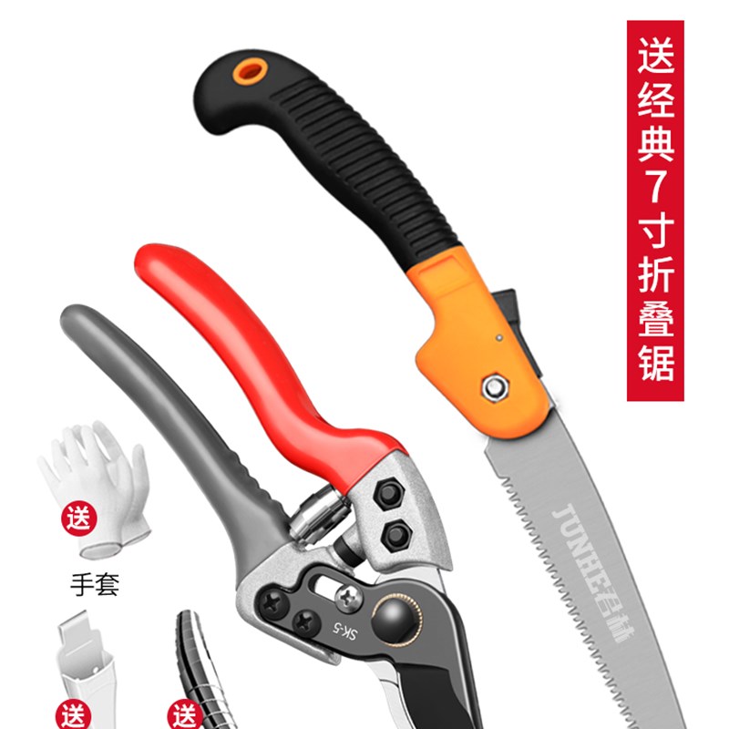 剪树枝专用剪刀园林园艺花艺剪子果树修枝剪刀修剪树枝剪刀修枝剪
