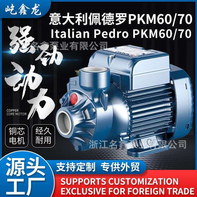 PKM60漩涡式自来水增压泵意大利款220v110v机床高压离心循环油泵