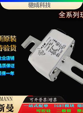 巴斯曼170M6766170M6767170M6768厂价供应厂价销售高速熔断器