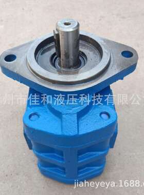 11C0053厦工932转向泵J2050