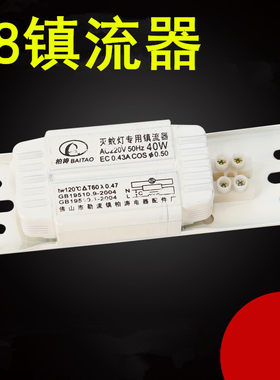 灭蚊灯专用镇流器 一拖二镇流器 变压20W30w40瓦电感整流器