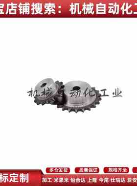 SP50B20/21-N-15/16/18/19/22/24/25/28/30/32/35/38/40/45 链轮
