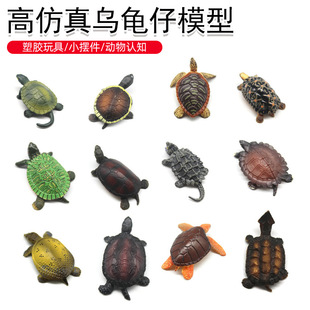 跨境迷你仿真乌龟模型玩具儿童动物认知摆件中华鳖鳄龟巴西龟