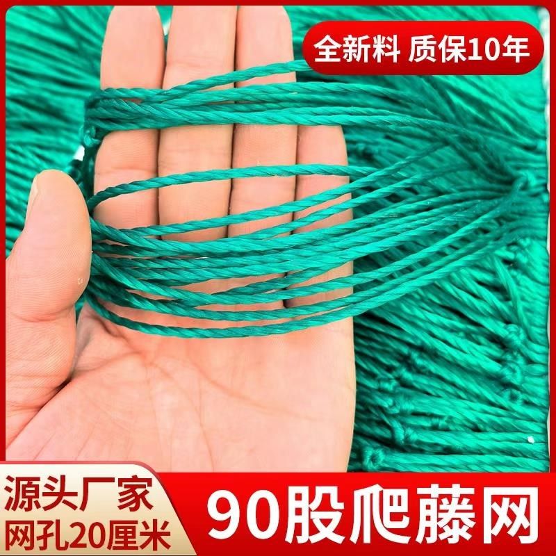 德国爬藤网植物攀爬网90股百香果葡萄园种植大棚网园艺网瓜果豆角,珠宝/钻石/翡翠,翡翠裸石/蛋面,淘宝优惠券,粉丝福利购,淘宝优惠卷