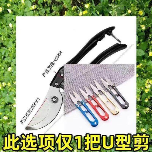 新款SK5修枝剪修剪果树剪枝园林修枝枝剪园艺花剪剪树枝专用剪刀