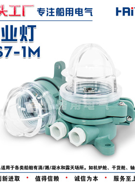 船用工程塑料白炽作业灯DS7-1M吸灯式露天场所甲板照明灯24V15W