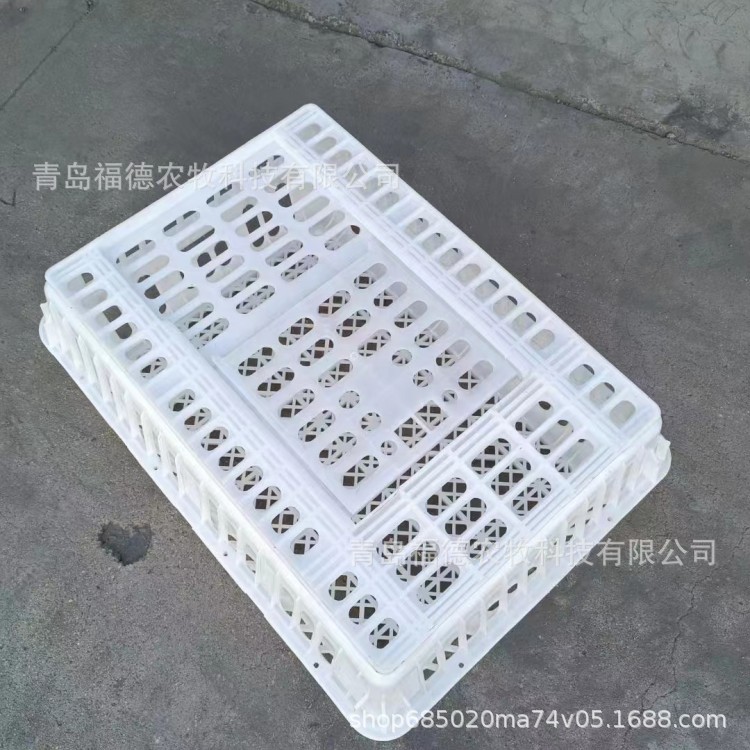 加厚大号成鸡鸭周转笼 全新料鸡笼 成鸡周转箱 加厚塑料运输鸡笼