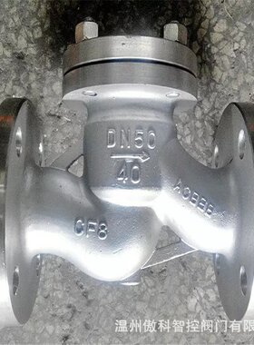 H41W-25P-DN100 铸钢/不锈钢消声止回阀 H41H-10C HC41W-16C