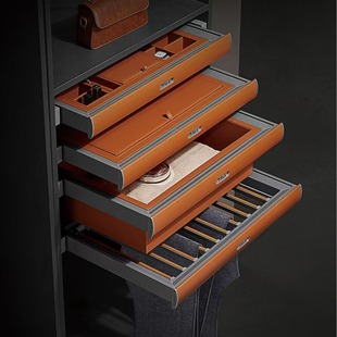 架 架衣帽间拉篮伸缩格子多功能裤 厂家直销衣柜内置首饰盒抽屉式 裤