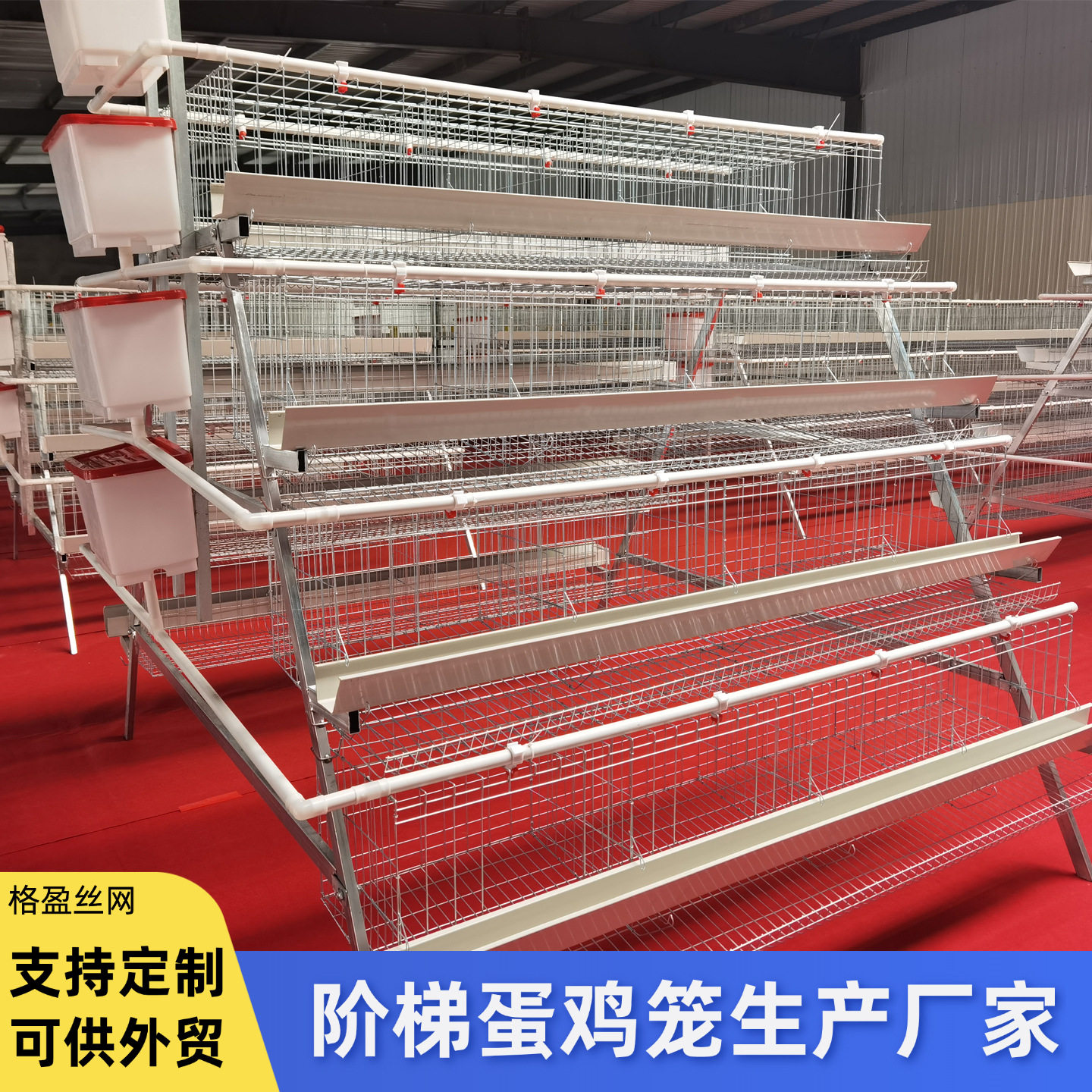 阶梯蛋鸡笼四层养殖厂A型蛋鸡笼鸡窝热镀锌阶梯式蛋鸡笼养鸡设备