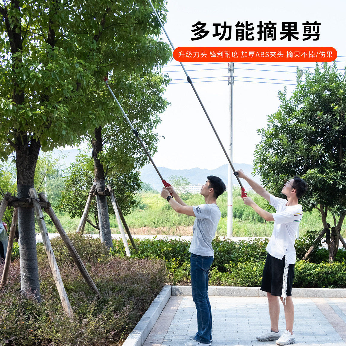 开拓台湾制造摘核桃剪高枝剪伸缩高空剪采果剪采摘剪110055