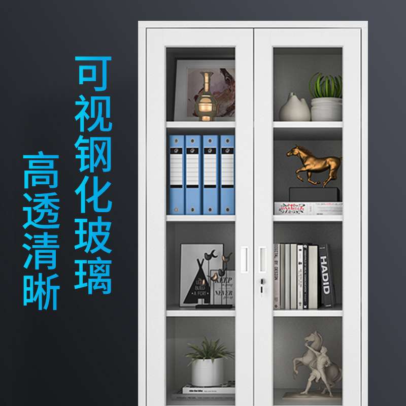 文件柜档案器械柜铁皮钢制多门储物柜办公室带锁资料带锁安全加厚