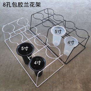 8孔兰花花架 兰花架子兰草盆架固定花盆支架落地式铁艺兰架