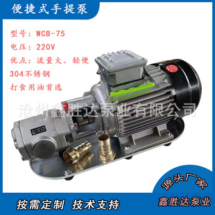 不锈钢齿轮泵厂家220v便捷式 WCB 30手提式 手提油泵