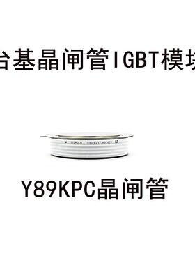 Y89KPCKP4000A600V800V1000VTECHSEM台基可控硅平板晶闸管