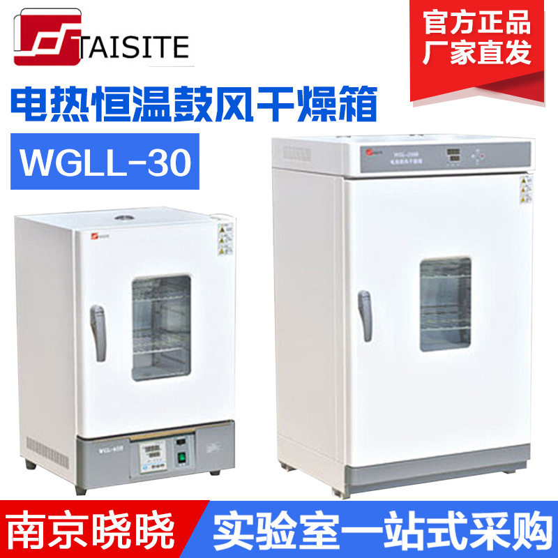 天津泰斯特WGLL-30/45/65/125BE 电热恒温鼓风干燥箱/实验室烘箱