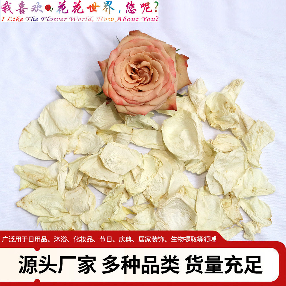 化妆品专用鲜花花朵|化妆品专用花朵|干花朵|玫瑰干花朵|干花花朵